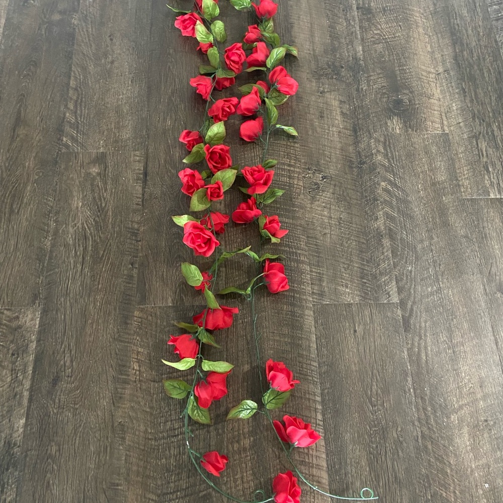 Red rose vine